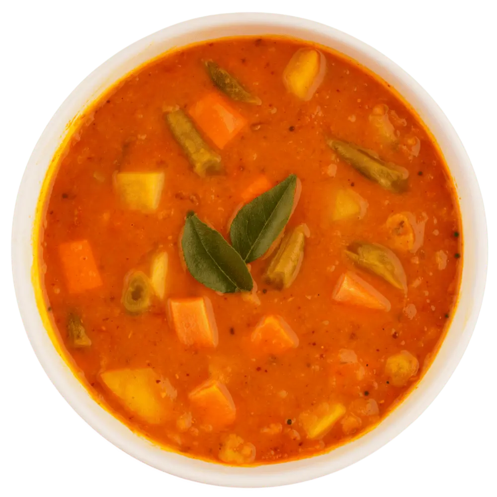 Vegetable Sambar 
